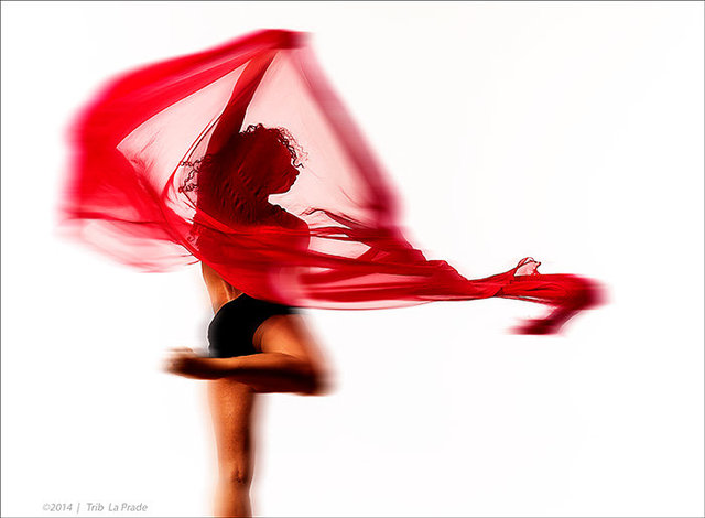 Lois Greenfield Workshop  |  March 2014