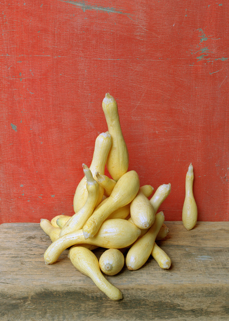 Yellow Squash, c 2007