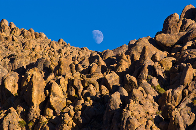 DSC_5660.jpg
