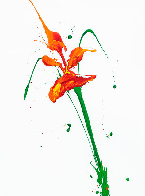Flora XIV