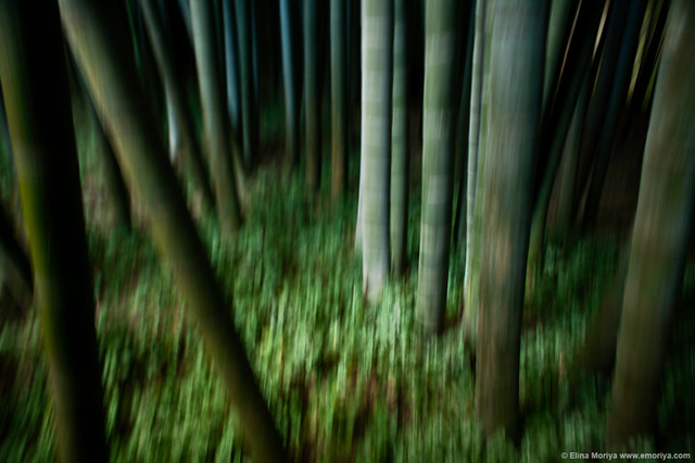 emoriya_homelandscape_web_Awakening_of_imagination_discovered.jpg