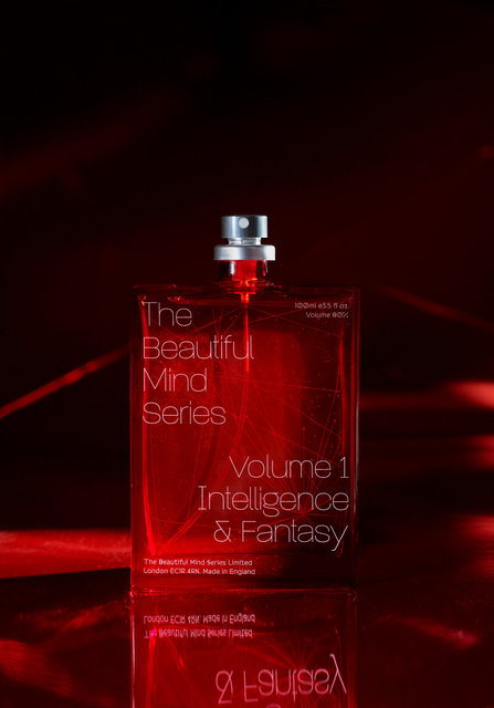 The Beautiful Mind 1