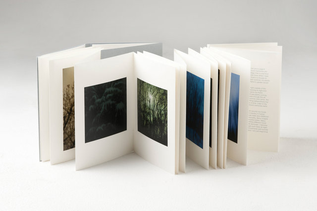 encounters, 33 pages, accordion book. Published by Datz Press in 2015.