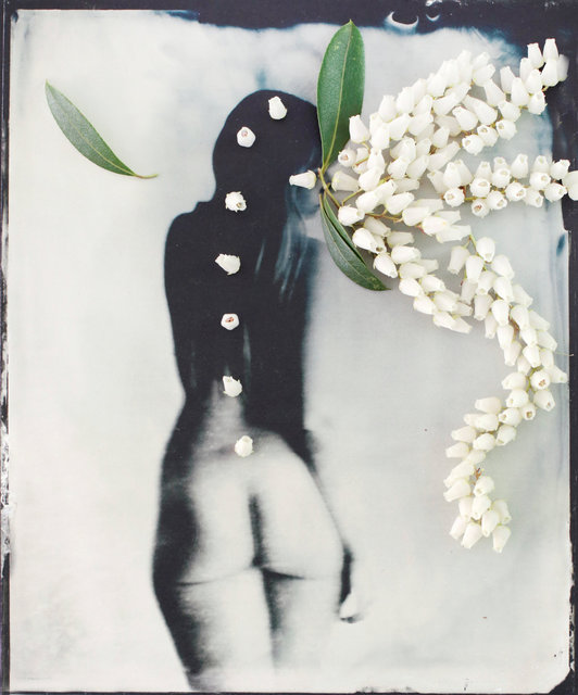 FLOWERS_1_001.JPG