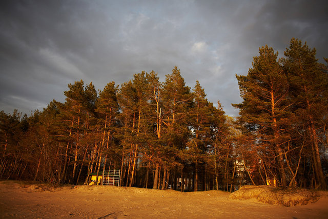 In the east of Europe- Estonia