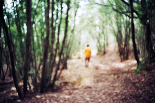 blurforest-wb.jpg