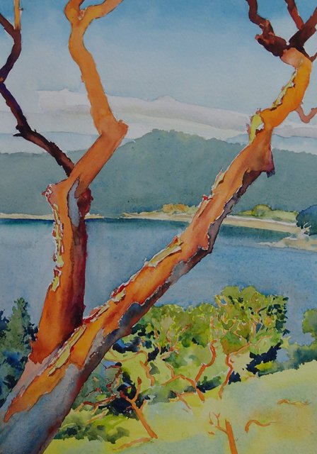 Lapp"s Arbutus. (Sold)