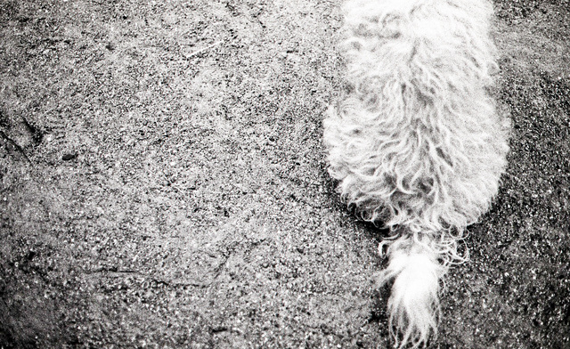 "Everything, everything seemed once-upon-a-time." Haruki Murakami