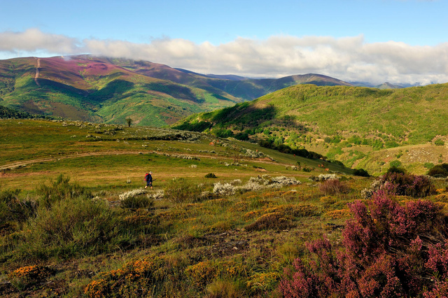 Les Montes de Leòn, Castille y Leòn