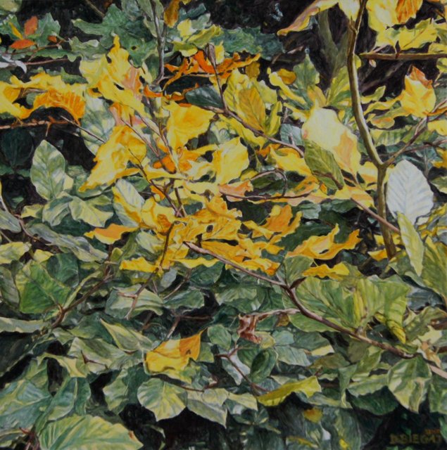 Nature 6 90x90 akryl płótno 2015