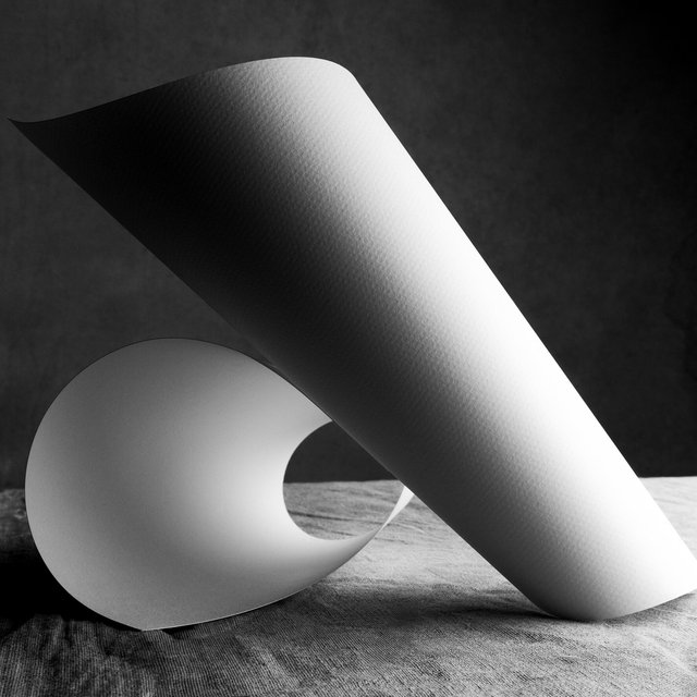 Paper Sculpture. NY, 2026