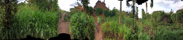 29°43’46.878”E  1°25’26.4”S (Burera, Kidaho, Rwanda)