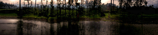 29°41’3.798”E 1°28’55.242”S (RN8, Gacaca, Rwanda)