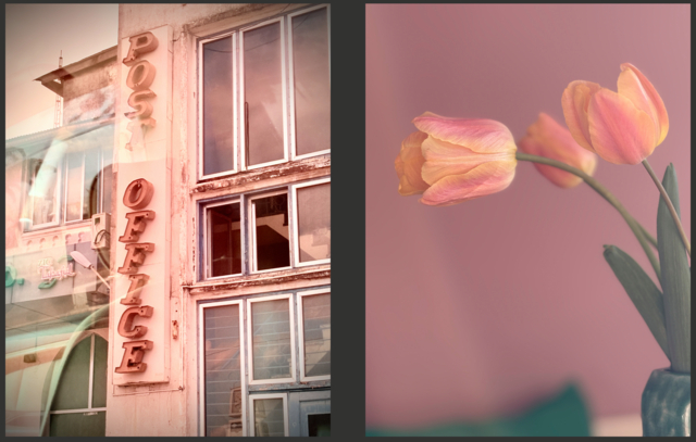 Skärmavbild 2026-02-10 kl. 09.14.22.png