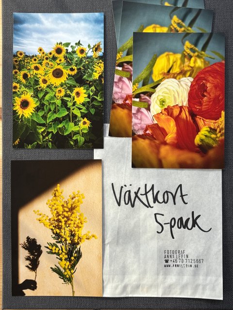 Växtkort 5-pack
