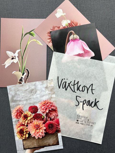 Växtkort 5-pack