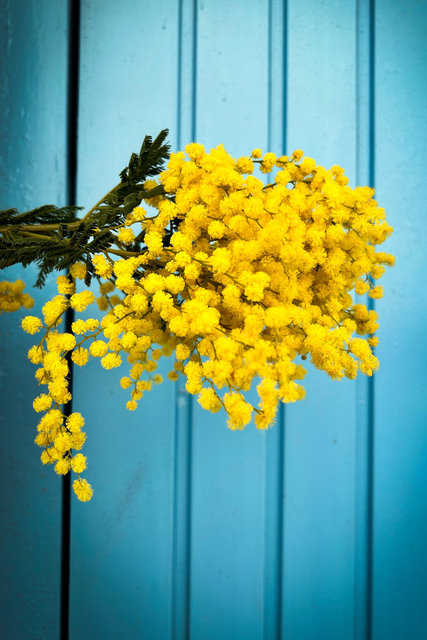 Prints till salu- Nice