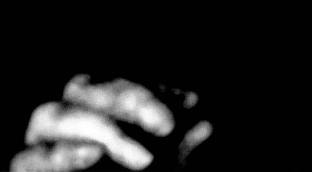 Nan Hoover Gestures No.2 2008