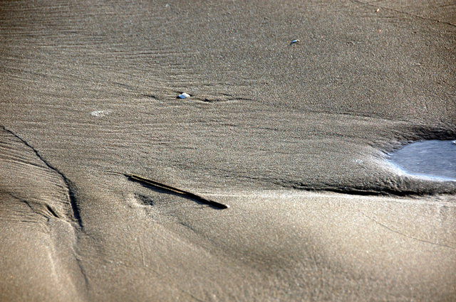 Delta del Ebro_0007.JPG