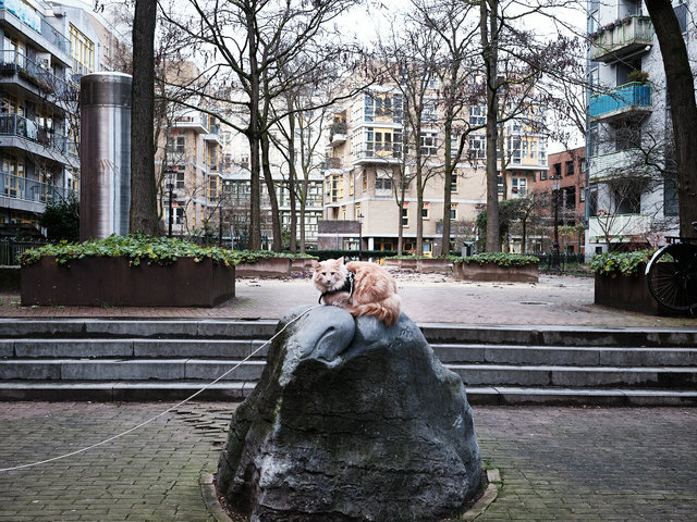 J.W Siebbelehof