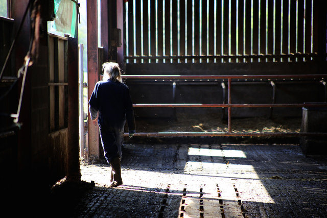 Bosley Mill Farm, Gloucestershire