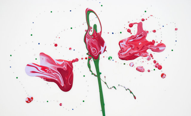 Flora XVI