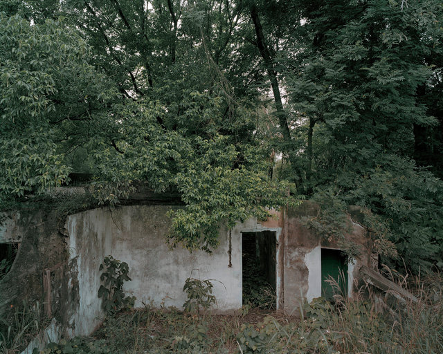 Glenda Liliana Andrade