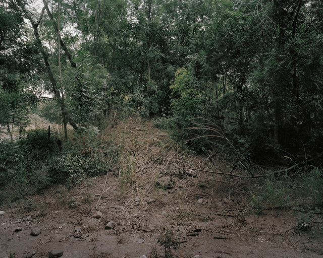 Angèlica Maria Gòmez Nùñez