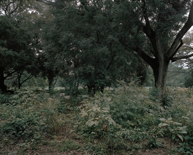 Ricardo Andrès Càrdenas Pedroza