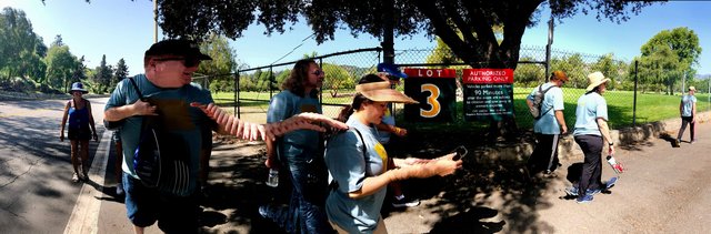 IMG_0539.jpeg