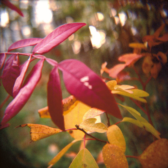 02-10-07-12.jpg
