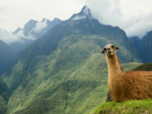 MachuPicchu_AK07.jpg