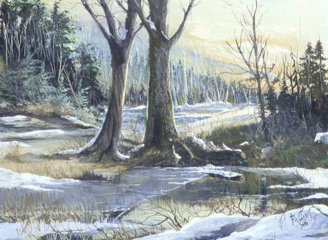 melting_snow.jpg