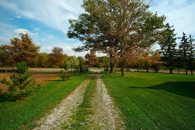 Laneway at the Family Farm