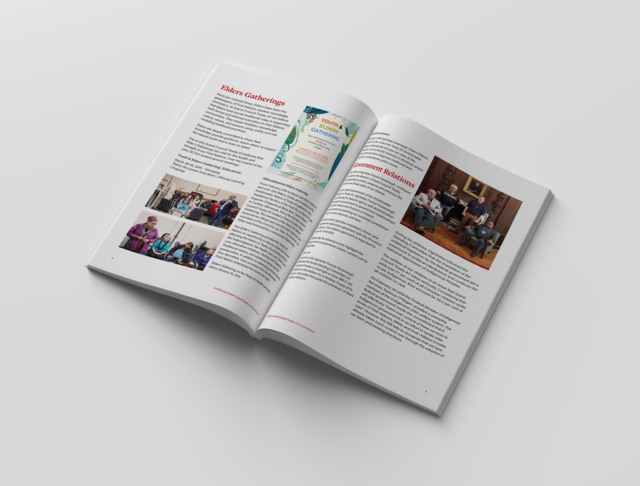 Grand Council Treaty #3