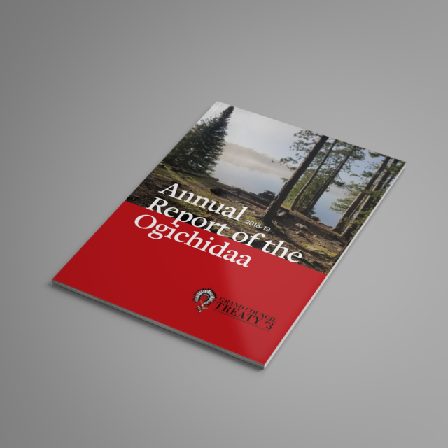 Grand Council Treaty #3