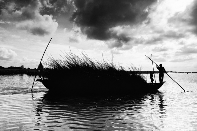 Boat carrying wood on lac Nokoue