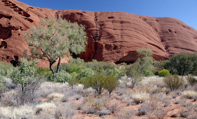 Uluru Base Walk (14) VB.JPG