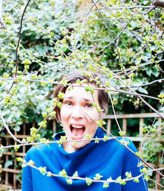 Laetitia Sadier, Stereolab