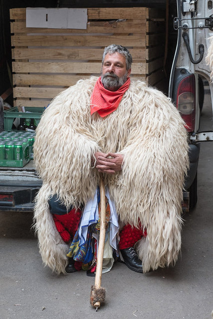 korant_022.jpg
