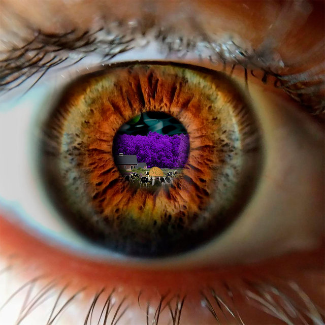 Look into My Eye