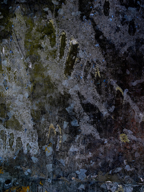_IMG2417-Edit copy.jpg