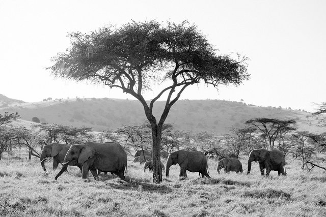 TANZANIA for Residence