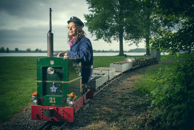Maasoever Model Spoorweg, Open dag 2017