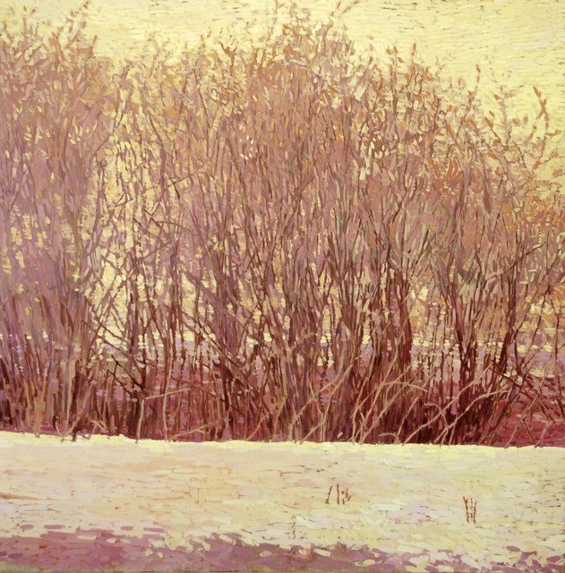 Spring Morning Willows, East Fork Brush Creek, Acrylic on Canvas, 72 x 72 in.