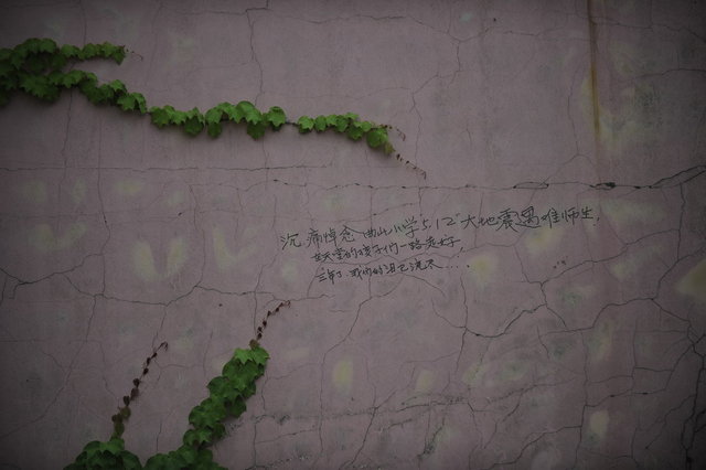 ZT-xjb-02-lq-10 (19).jpg