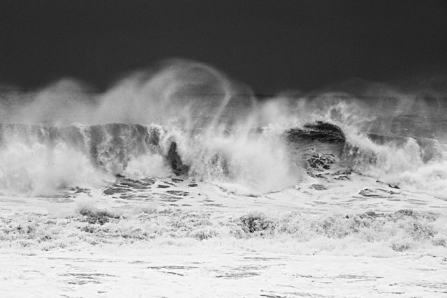 5F3A6275BW.jpg