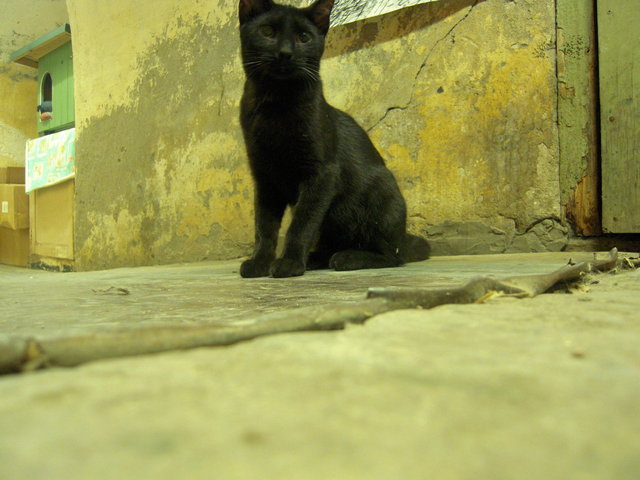 DSCN5558.JPG