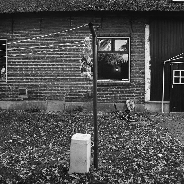 pop - 2006-03-21 at 12-45-52.jpg