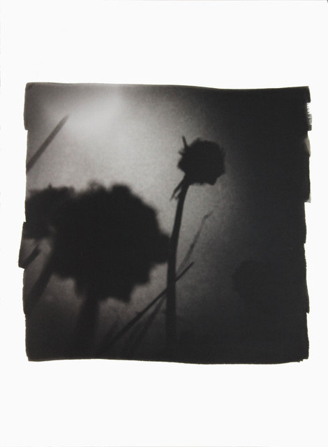 American Diary-023.JPG
